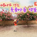 옻골로 이미지