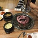 경성갈매기