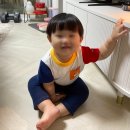 뽐하우스 | 미키하우스 티셔츠 100 반팔 사이즈 후기｜돌아기 여름옷 추천