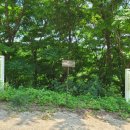 국립산림과학원
산림바이오소재연구소 이미지