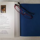 타로-나에게 묻고 나에게 답하다 이미지