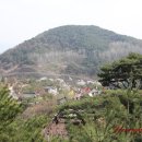 청풍명월 이미지