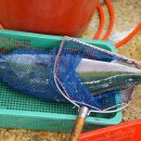 삼원상회 이미지