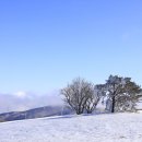 하늘구름목장 이미지