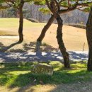 진안로 | 충청명문 천룡CC 다녀온 후기