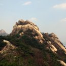 불광2-016 이미지