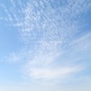 종일1 태양광발전소 이미지