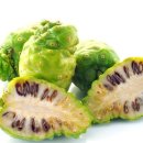 노니 필라테스 이미지