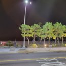 강남활어회센타 이미지