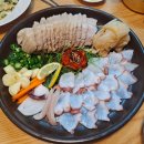 탱글이 문어 이미지