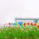 바람개비 이미지