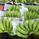 진원농장 이미지