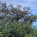 책과의동행(야간) 이미지