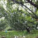 정운농장 이미지