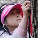봄이 오는 숲으로 가다 -3월 아이와 함께하는 귀정사 숲템플스테이 이모저모- 이미지