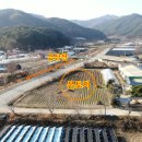 청춘농장 제2농장 이미지