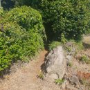 하례2리농촌체험휴양마을 이미지