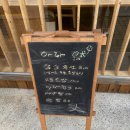 아라일식 이미지