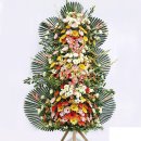 통영초등학교 이미지