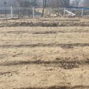 시동리경로당 이미지