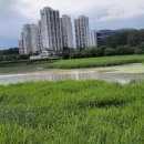 모전목장 이미지