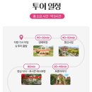 트립앤모어