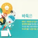 이세돌바둑학원 이미지