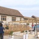 연태농장 이미지