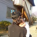 아기별스튜디오