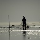 아버지의바다 이미지