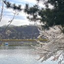 공지천 주차장 이미지