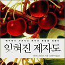 영성개발 네이버블로그