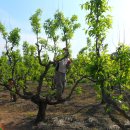 청룡농장 이미지