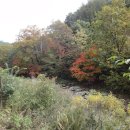 문범농장 이미지