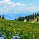 김천농협 로컬푸드 복합문화센터 이미지