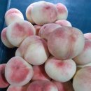 병준농장 이미지