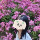 해돋이공원(관리사무소) | 인천 송도 가볼만한곳 :: ‘해돋이공원’ 만개한 6월 장미 데이트 피크닉 추천 사진 맛집 인생샷 꿀팁