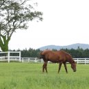 풍성목장 이미지