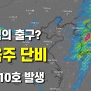 단비주