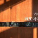 마루애견 이미지