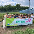 동구치매안심센터 이미지