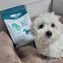 견생맛스토어 | 이즈칸 기호성 좋은 신제품 강아지 사료로 장&amp;관절 건강 챙겨요~