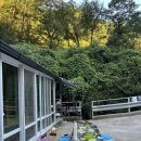 물레방아민박 이미지