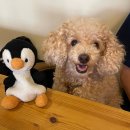 더 블루 카카오 검색결과