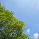 철이네캠핑장 이미지