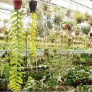 서승만농장 이미지