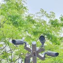 북정근린공원 이미지