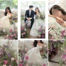 로즈앤모어 네이버블로그