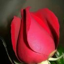 목마르지 이미지