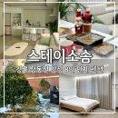 스테이소솜